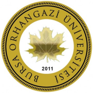 Bursa Orhangazi logo