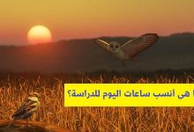 ما هي أنسب ساعات اليوم للدراسة؟