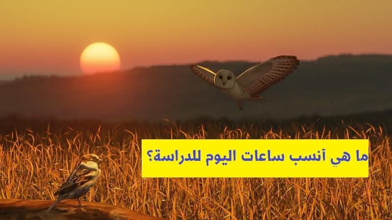 ما هي أنسب ساعات اليوم للدراسة؟