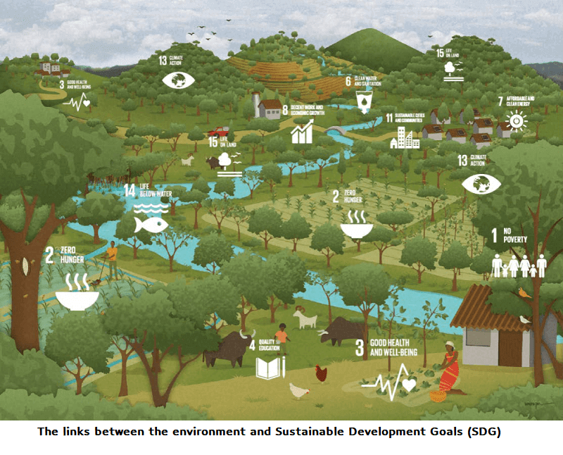 The links between the environment and Sustainable Development Goals (SDG)